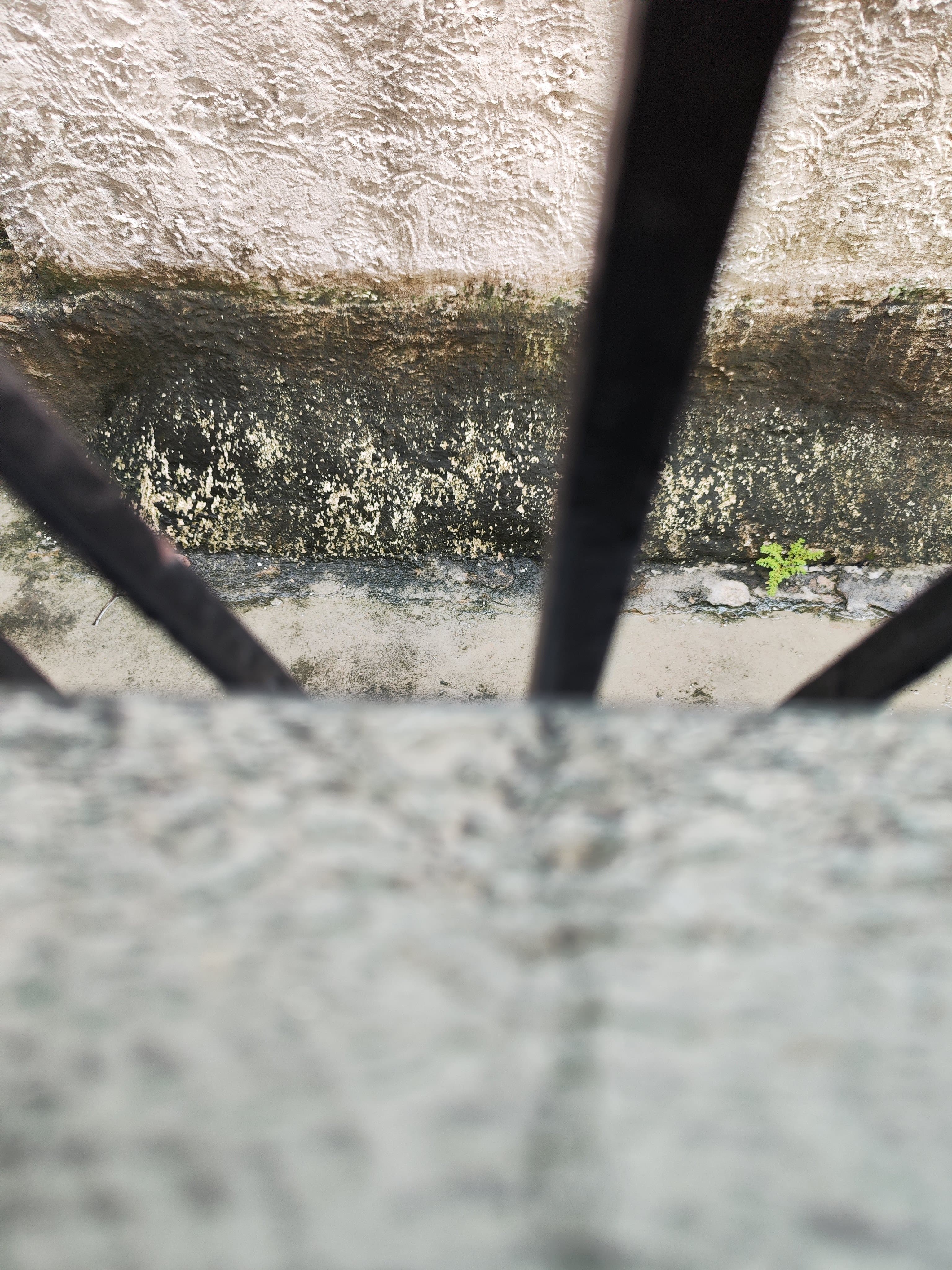 Textura de muro con presencia de humedad en el callejón