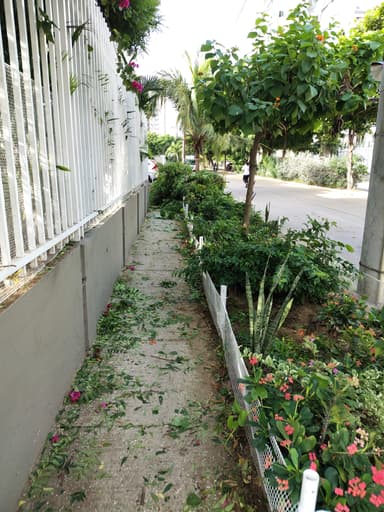 Lo que aprendí al hablar con los podadores de Air-e en Villa Santos