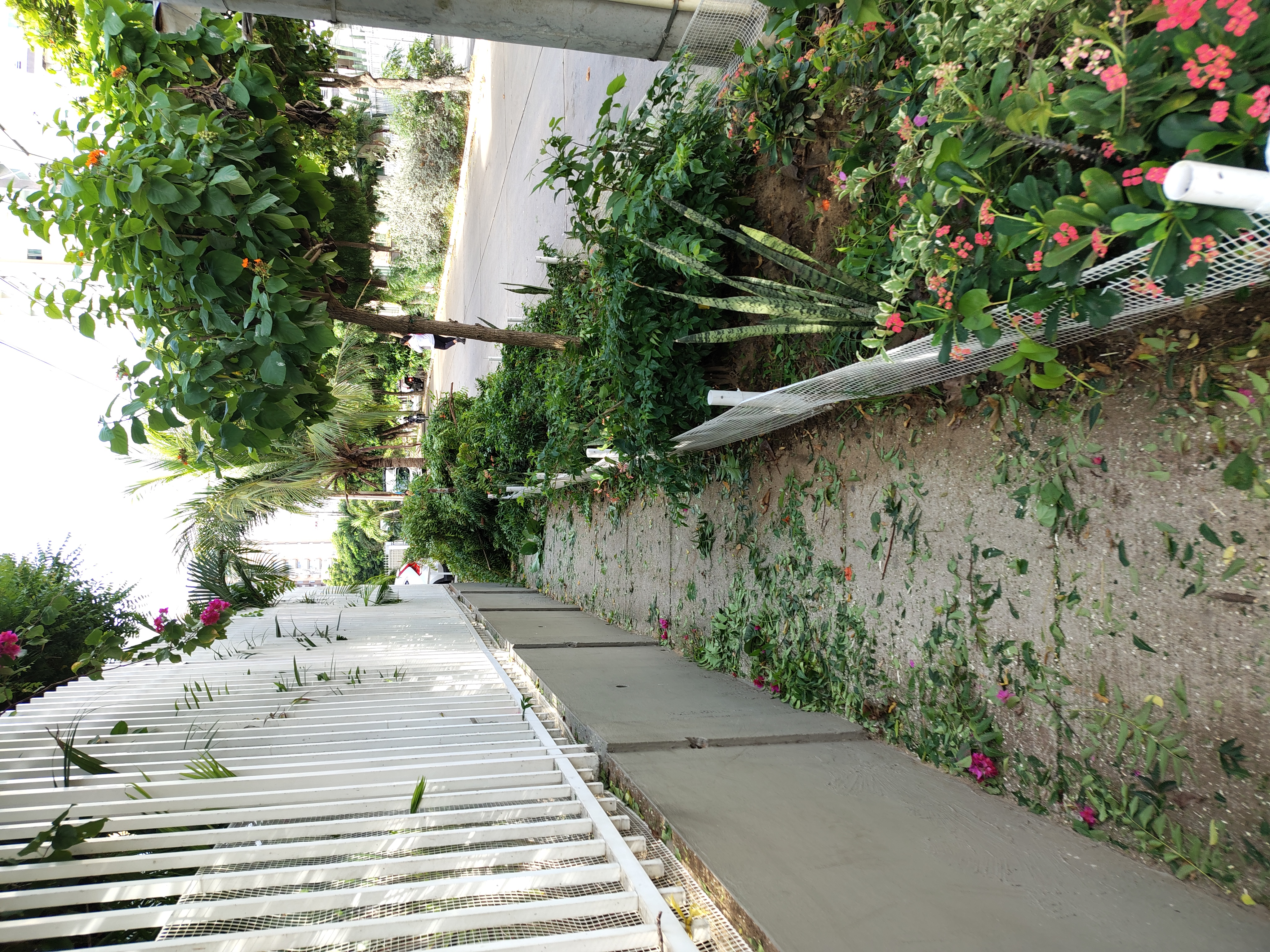 Lo que aprendí al hablar con los podadores de Air-e en Villa Santos