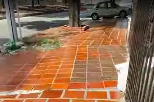 Lo que observé al caminar por la acera de una de las calles del Barrio Nuevo Horizonte de Barranquilla