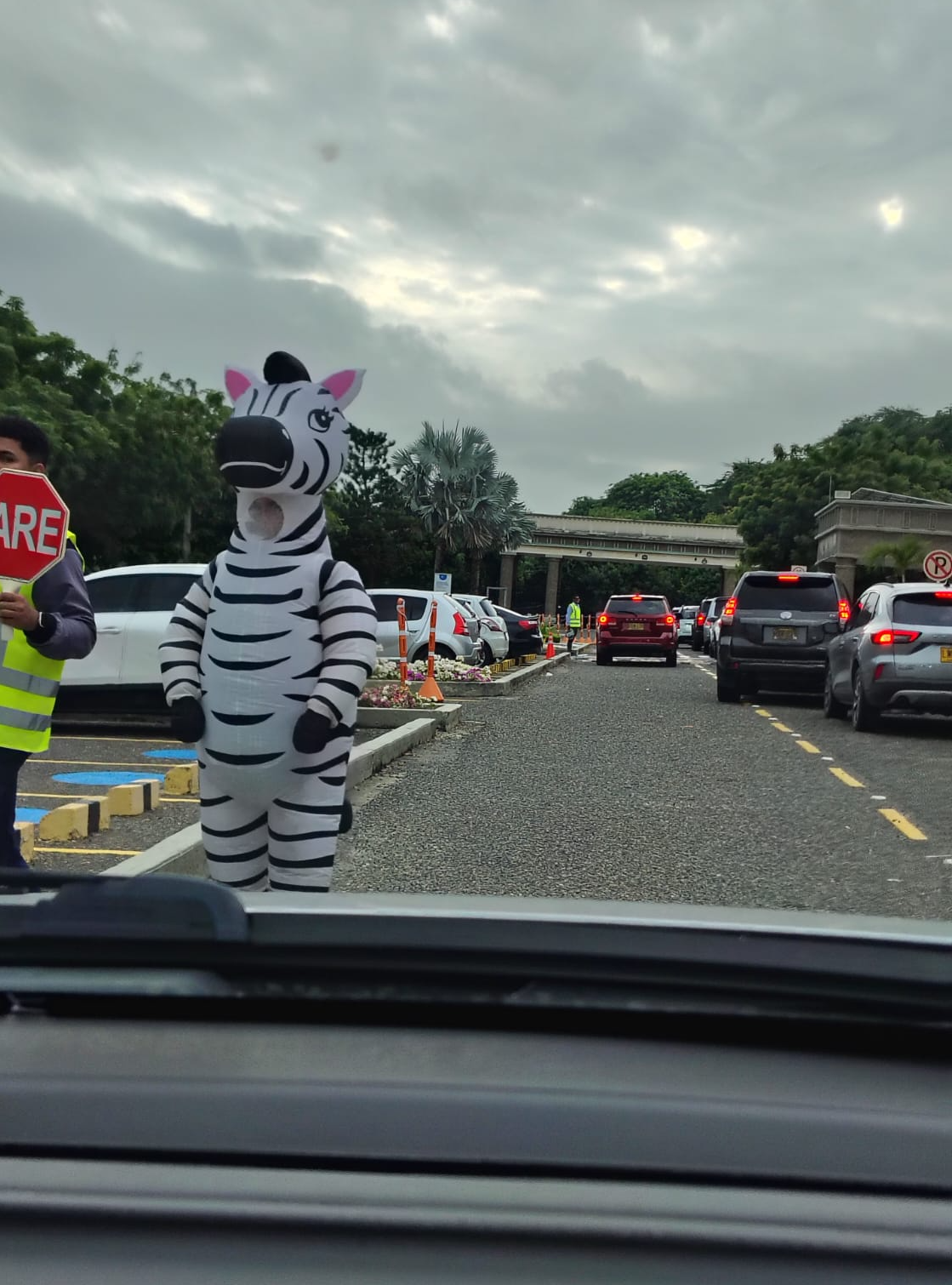Lo que viví al ver una “cebra” en el Colegio Alemán de Barranquilla