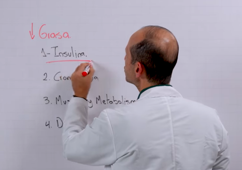 Comienza a reducir tu grasa abdominal en 15 días: las 4 claves del Dr. Rosero para activar tu metabolismo
